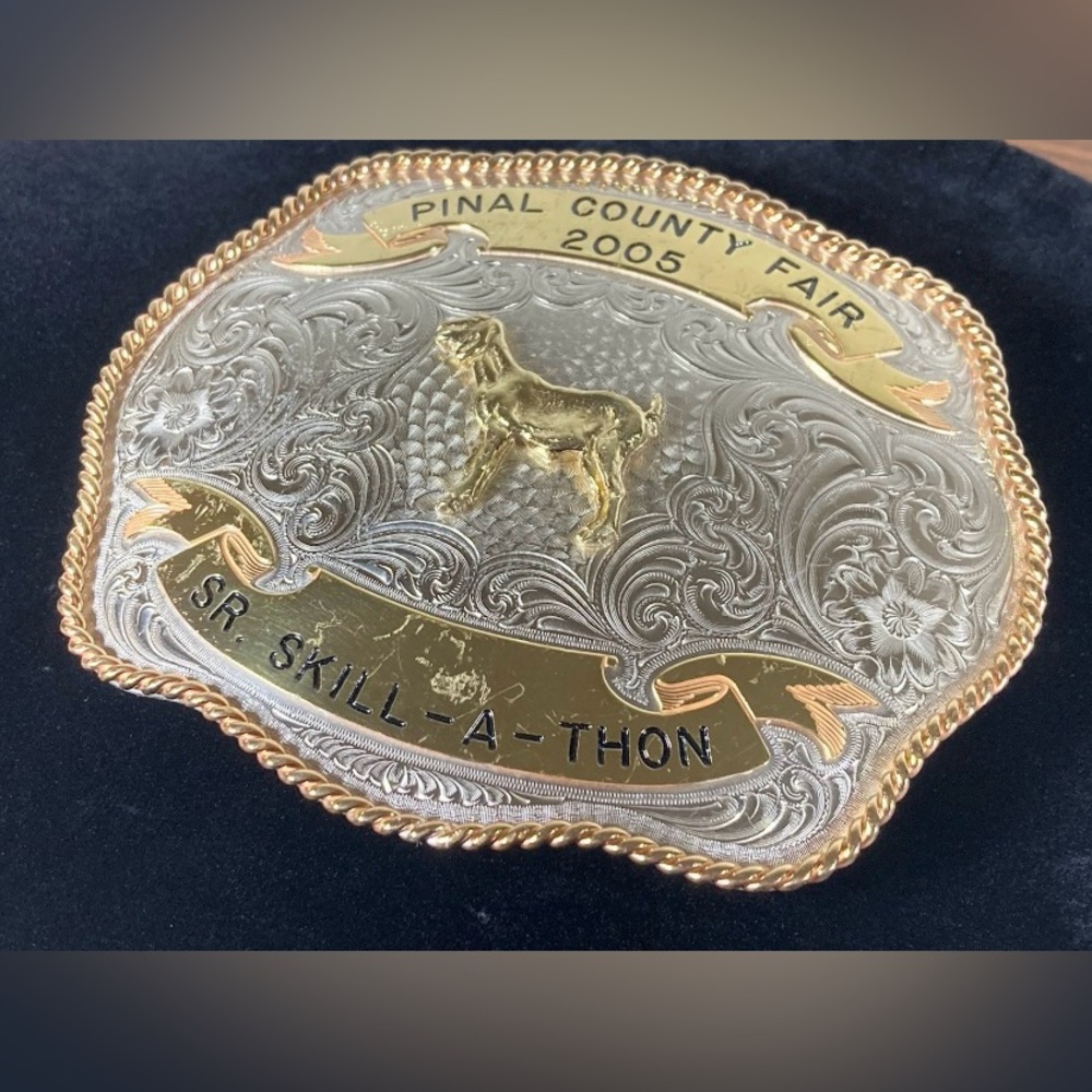 2005 PINAL COUNTY FAIR SR. SKILL-A-THON TROPHY BELT BUCKLE LARGE - Picture 2 of 11